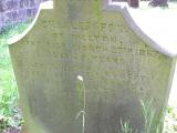 image of grave number 45623